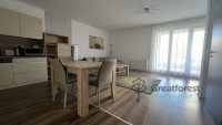 Debrecen, Close To Main Campus, flat  