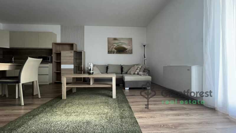 Debrecen, Close To Main Campus, flat  