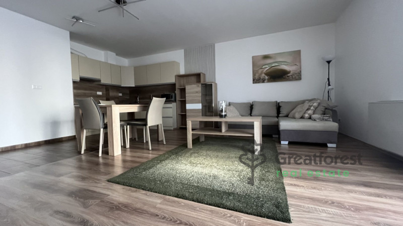 Debrecen, Close To Main Campus, flat  