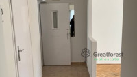 Debrecen, Greatforest Area, flat  