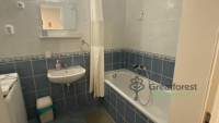 Debrecen, Greatforest Area, flat  