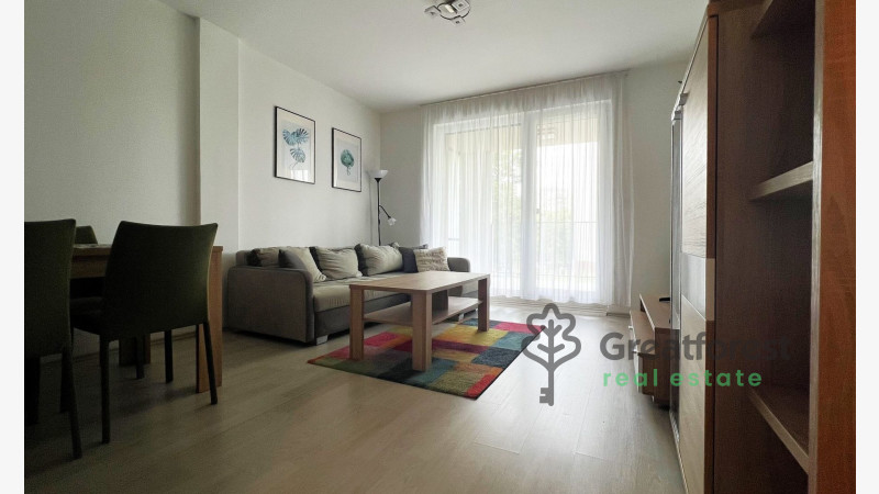 Debrecen, Close To Main Campus, flat  