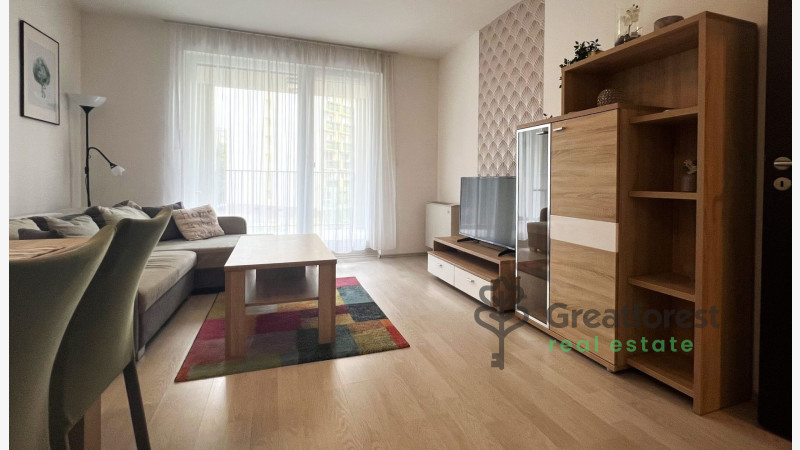 Debrecen, Close To Main Campus, flat  