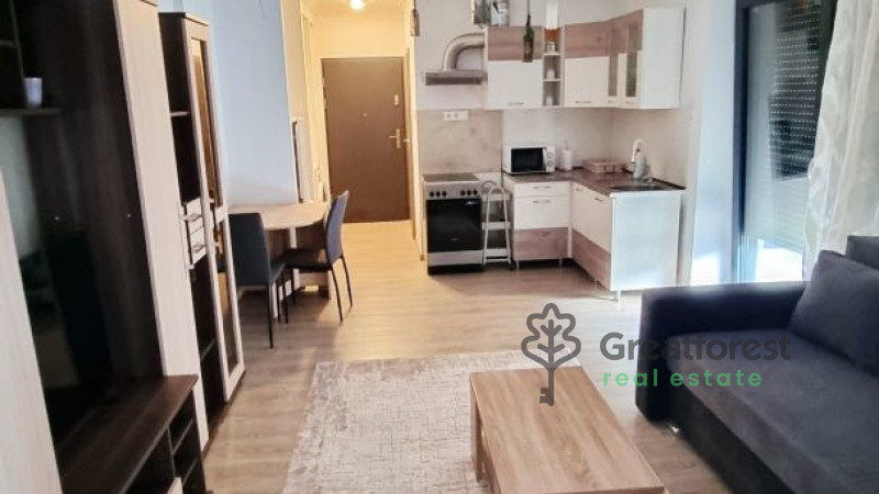 Debrecen, Close To Main Campus, flat  