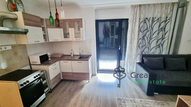 Debrecen, Close To Main Campus, flat  