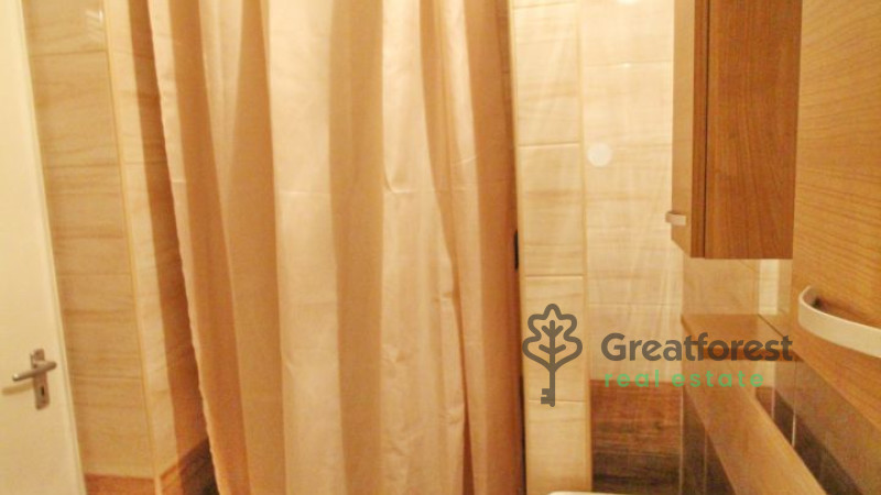Debrecen, Close To Main Campus, flat  