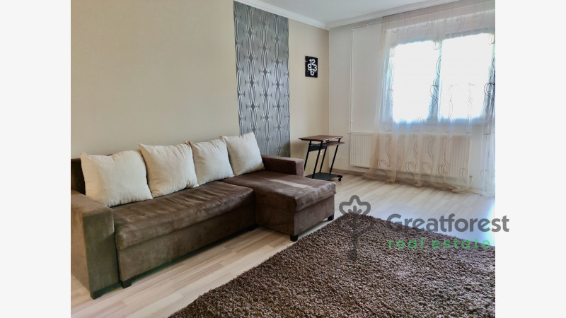 Debrecen, Close To Main Campus, flat  